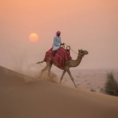 The Desert Safari Dubai Your Gateway to Desert Adventures